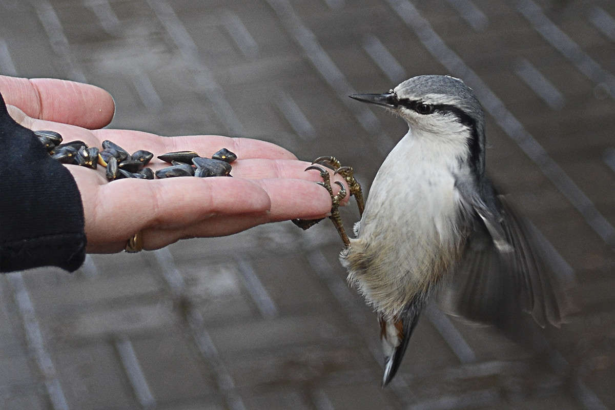 ... ����� ����  �� PhotoGeek.ru #�������� ���