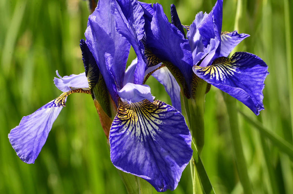 ... ����� ����  �� PhotoGeek.ru #������ ��� ������� #����� ��������������