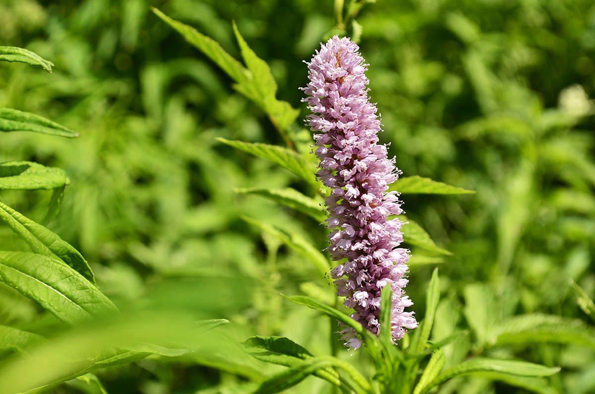 ... ����� ����  �� PhotoGeek.ru #������ ��� ������� #����� ��������������