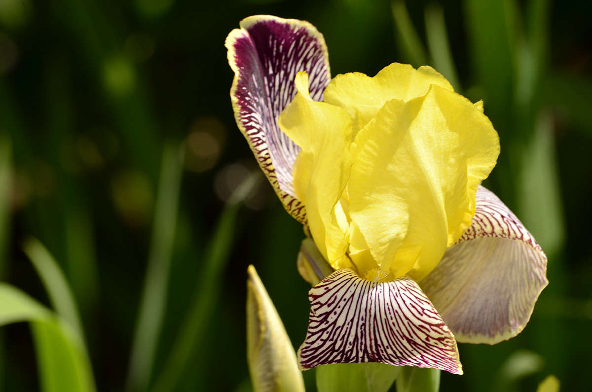 ... ����� ����  �� PhotoGeek.ru #������ ��� ������� #����� ��������������