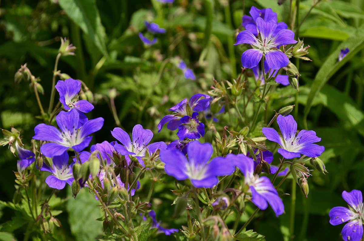 ... ����� ����  �� PhotoGeek.ru #������ ��� ������� #����� ��������������