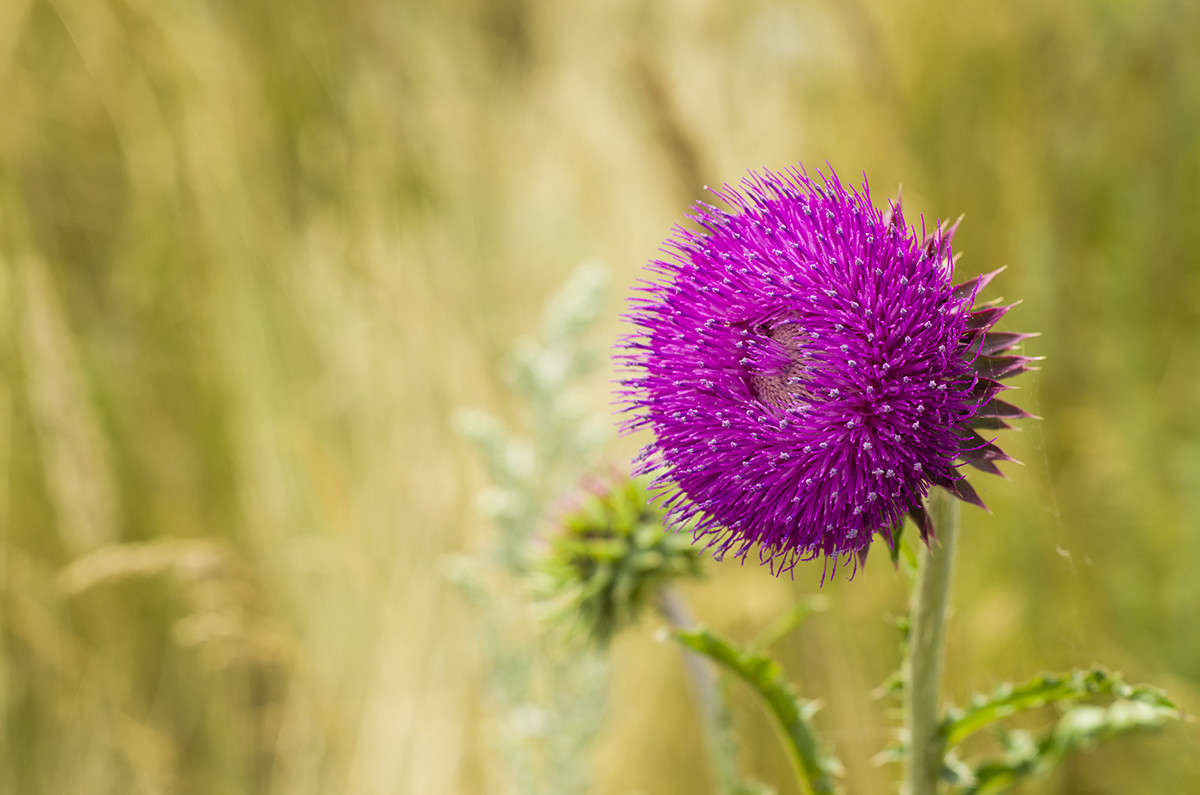 �������� ������� ����� ����  �� PhotoGeek.ru #������ ��� ������� #����� ��������������