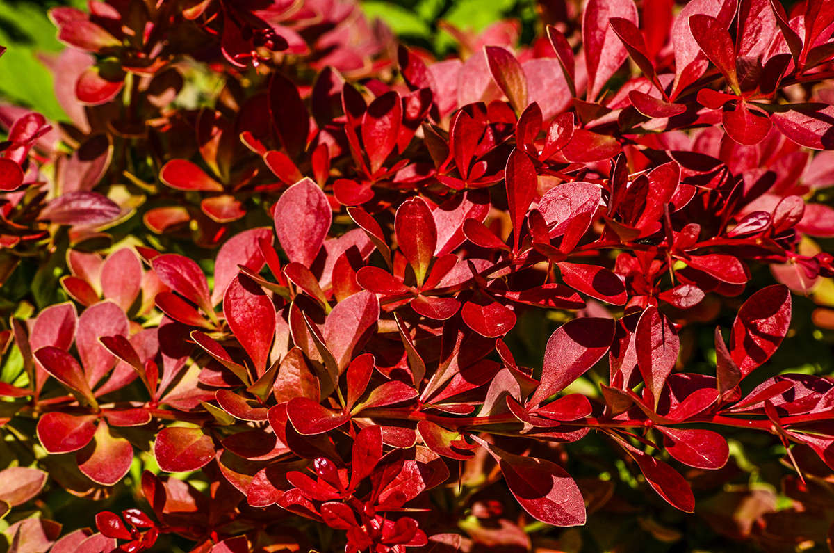 ... ����� ����  �� PhotoGeek.ru #������ ��� ������� #����� ��������������