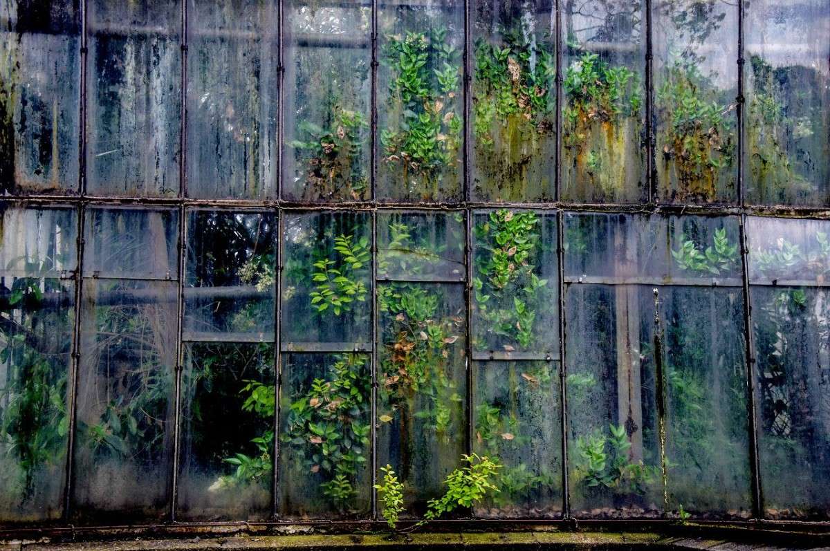 ��������� ����� �������� ������� �� PhotoGeek.ru #������ ��� ������� #�������� ���������� #����� �������������� #����� ��������