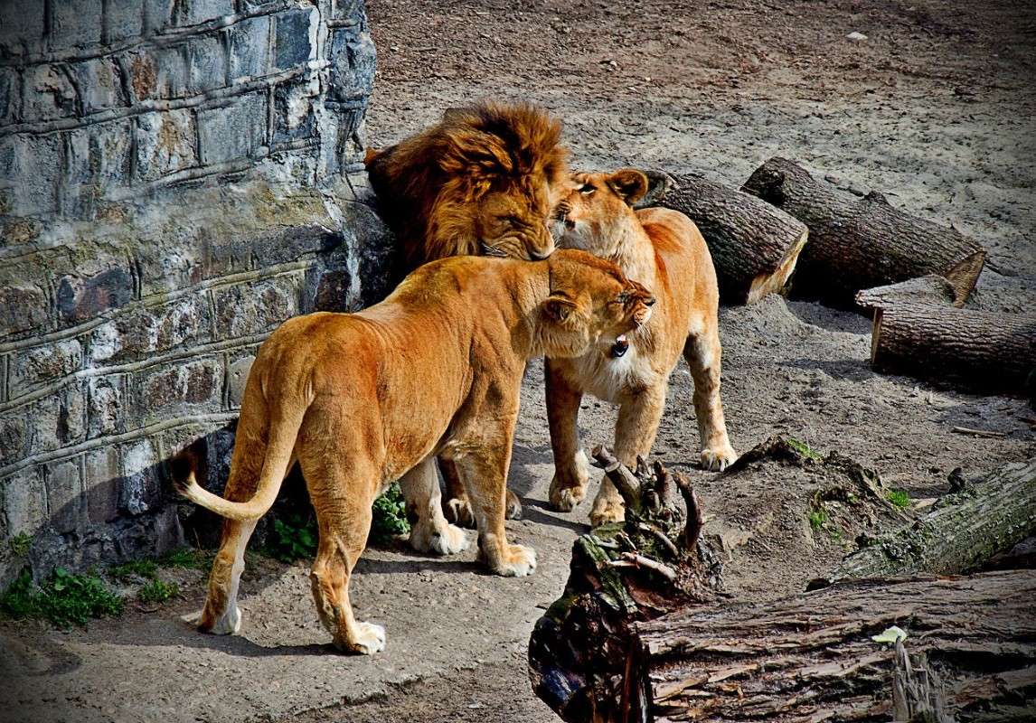 �������� ����������� ����� �������� ������� �� PhotoGeek.ru #�������� ��� #������ ��� ������� #����� ��� ��� ���������