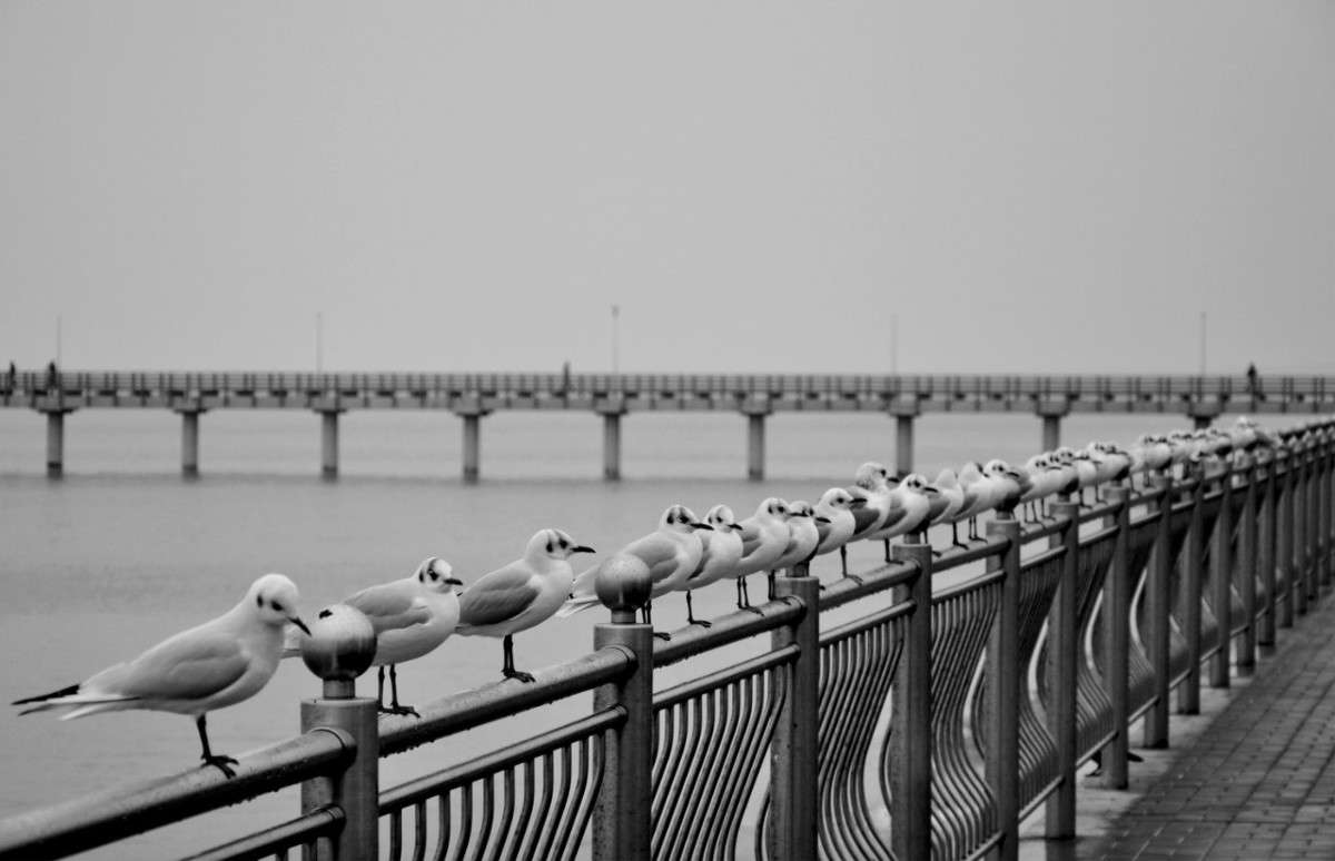 ���� ����� �������� ������� �� PhotoGeek.ru #�������� ��� #�����-�����