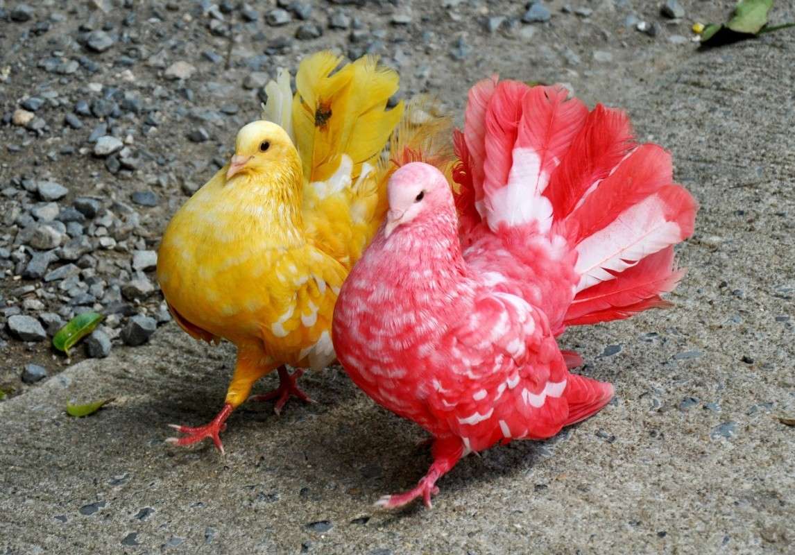 ������ ���� ����� �������� ������� �� PhotoGeek.ru #�������� ��� #����� ��� ��� ���������