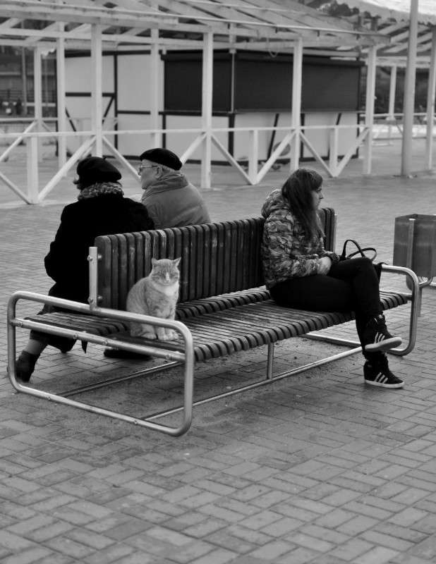 ���� �� ���� ����� �������� ������� �� PhotoGeek.ru #����� #�������� ���������� #��������������� #�����-��� #�����-���� #�����-�����