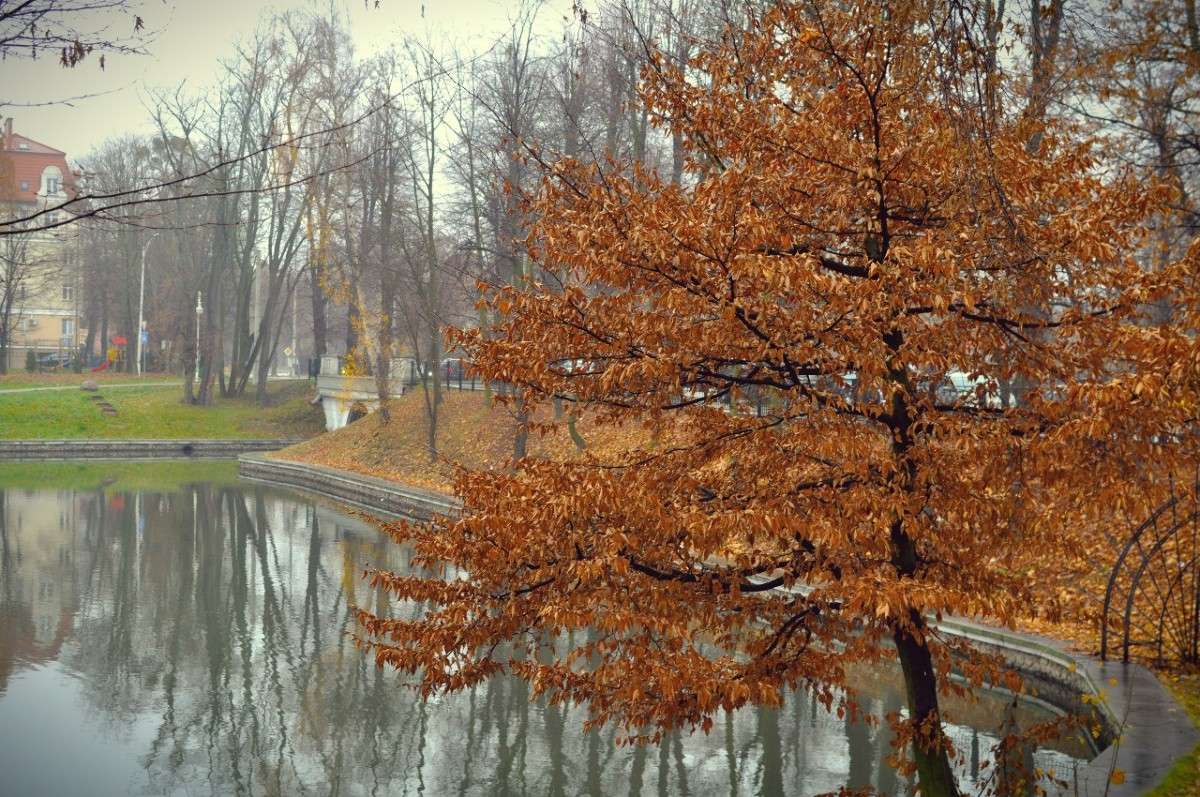 ������� ����� ����� �������� ������� �� PhotoGeek.ru #������ ��� �������