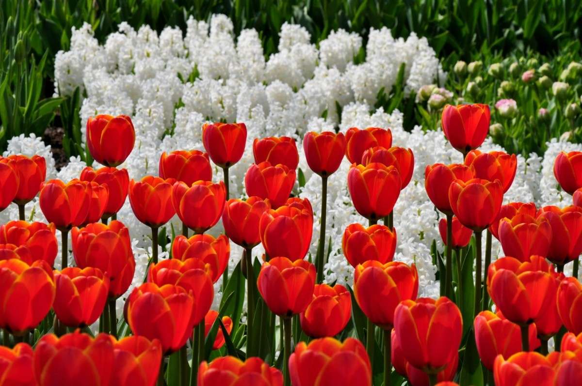 ... ����� �������� ������� �� PhotoGeek.ru #������ ��� ������� #����� ��������������