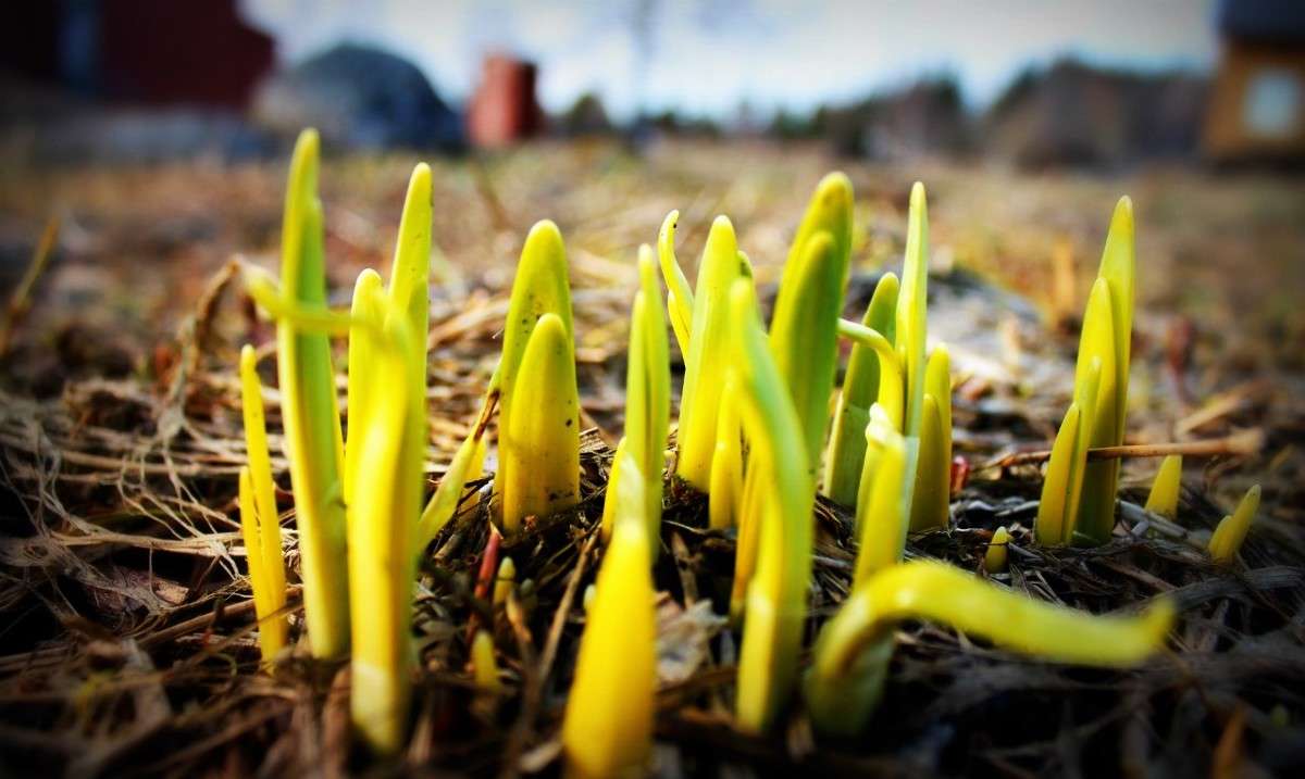 ����� �����. ����� ���� ����� �� PhotoGeek.ru #������ ��� �������