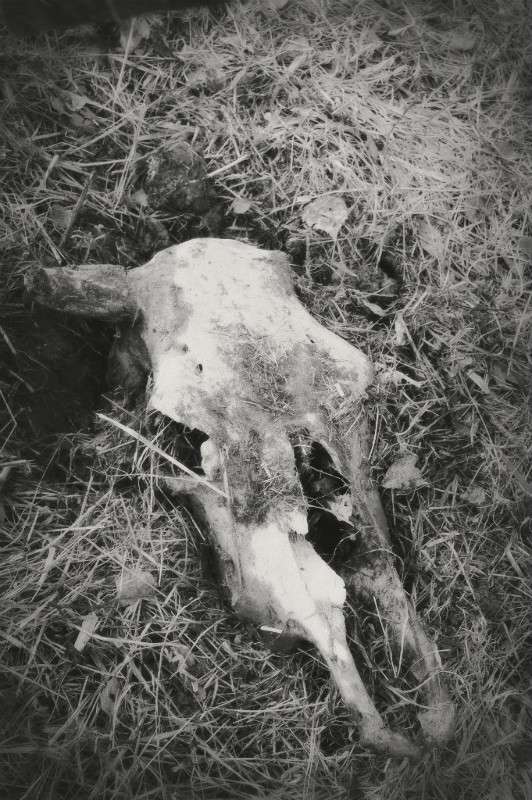 ... ����� ���� ����� �� PhotoGeek.ru #�������� ��� #�������� ���������� #�����-�����