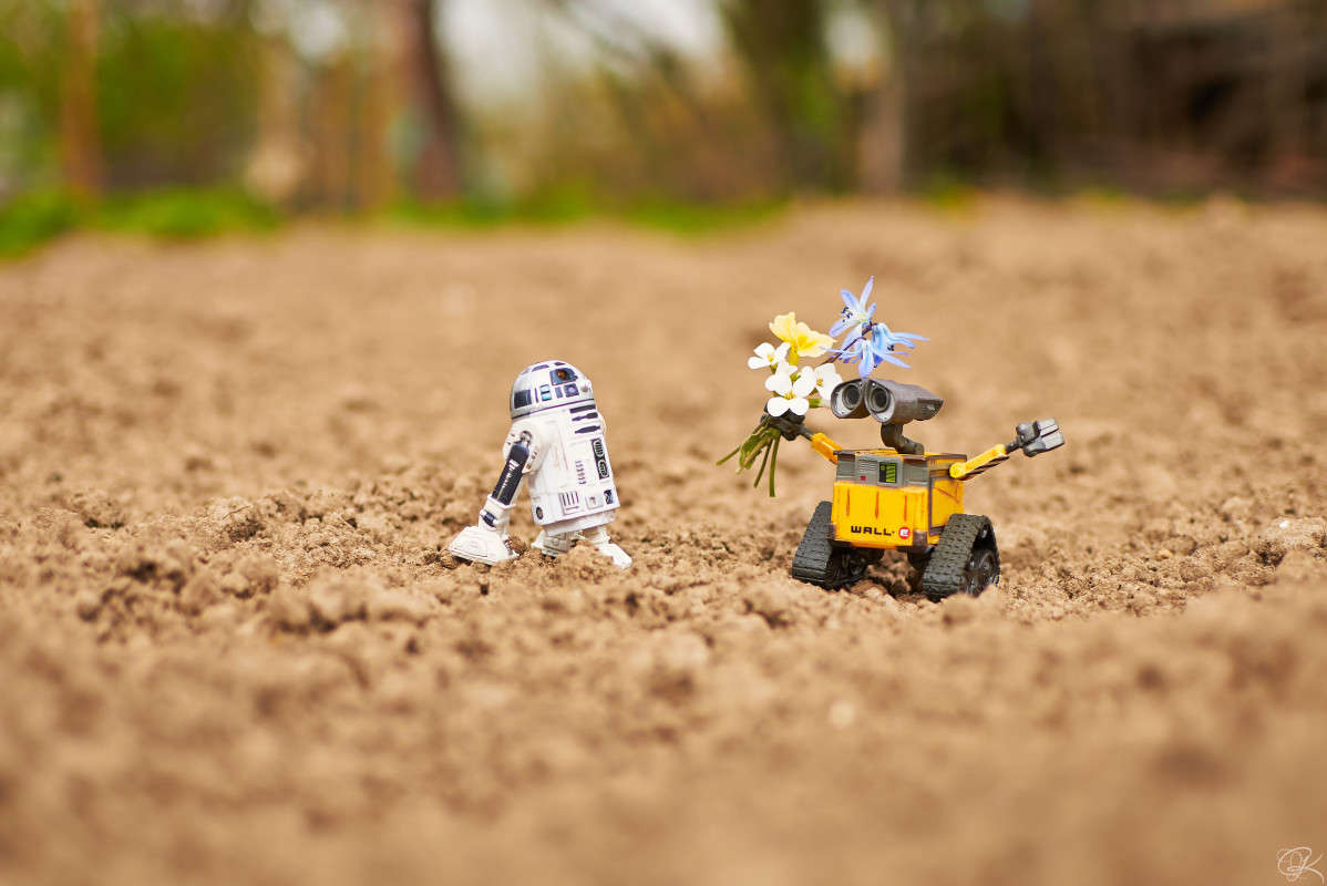 ������ ������ ����� ������  �� PhotoGeek.ru #�������