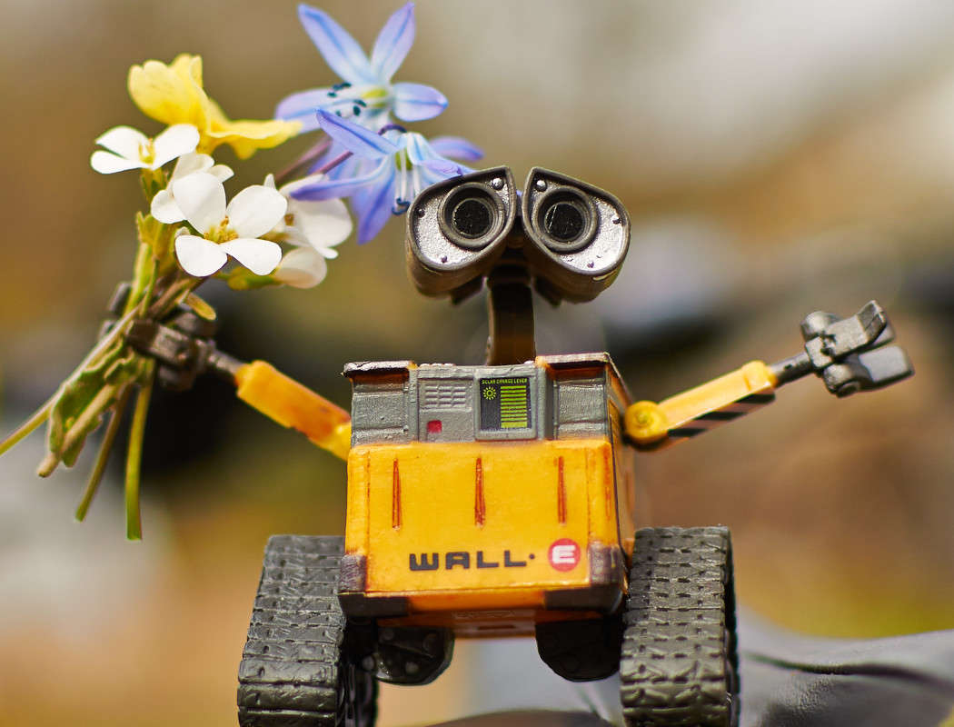 Wall`e ����� ������  �� PhotoGeek.ru #�������