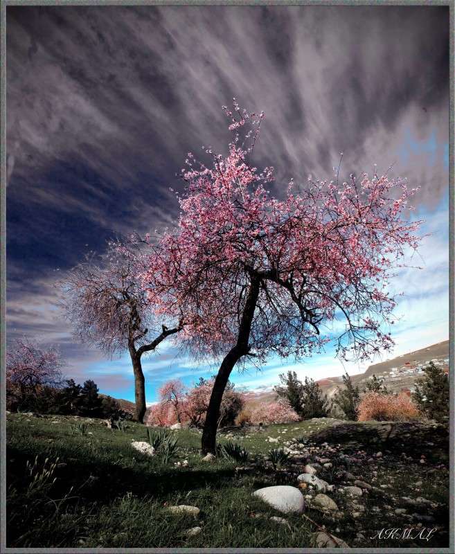 ... ����� Akmal Usmanov �� PhotoGeek.ru #������ ��� ������� #����� ��������������