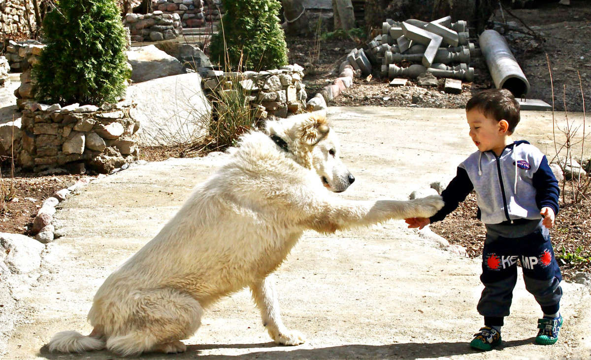 ������! ������. ����������� ����� Akmal Usmanov �� PhotoGeek.ru #�������