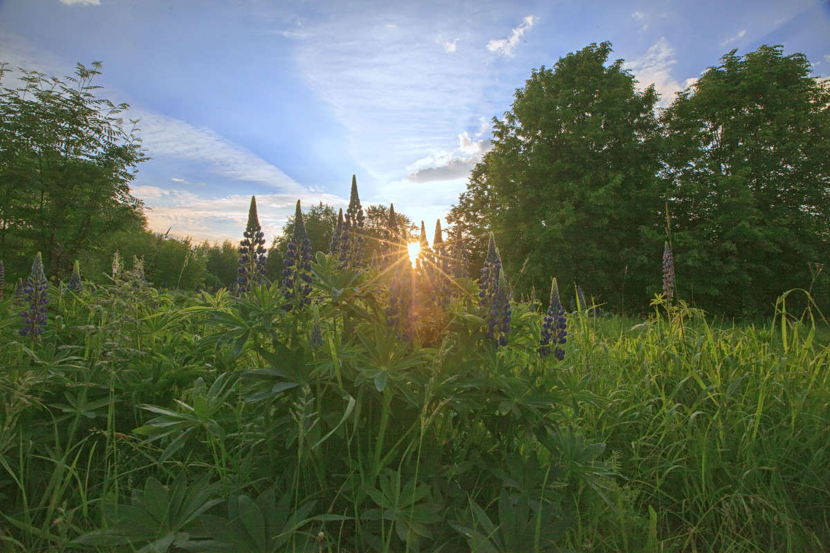 ���� �� ����. ���������� ���. ����� Akmal Usmanov �� PhotoGeek.ru #������ ��� ������� #����� �������������� #������ #����� ��������