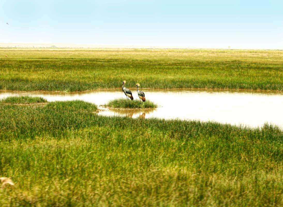 ����������� ����� �� �����!����������� �������.����� ����� Akmal Usmanov �� PhotoGeek.ru #�������� ��� #������ ��� ������� #�������� #����� ��� ��� ��������� #����� �������������� #�������� #������ #����� ��������