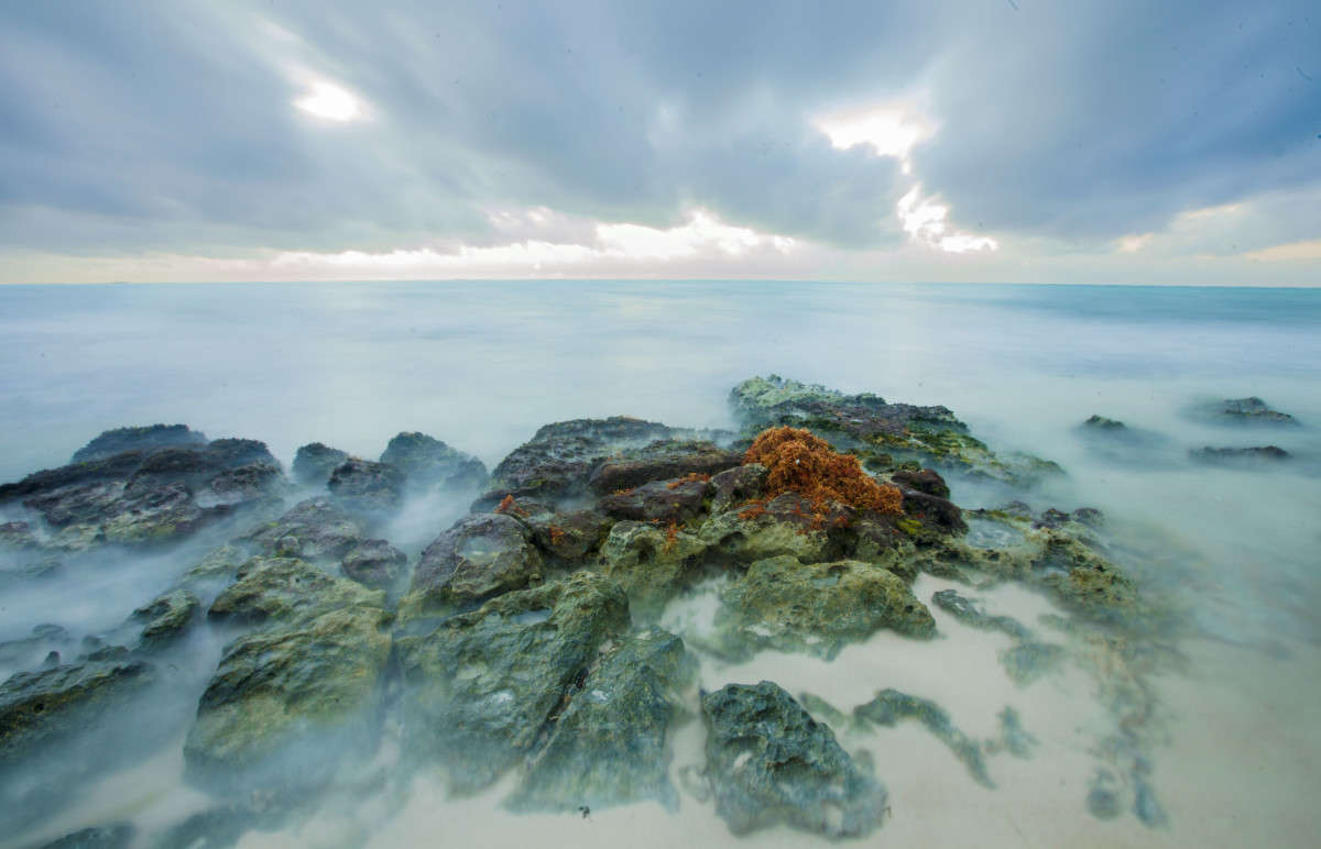 ������������ �����.... ����� Akmal Usmanov �� PhotoGeek.ru #������ ��� ������� #�������� #������