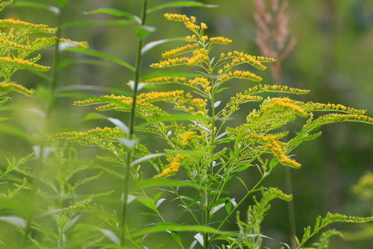 ... ����� ���������  �� PhotoGeek.ru #������ ��� ������� #���������