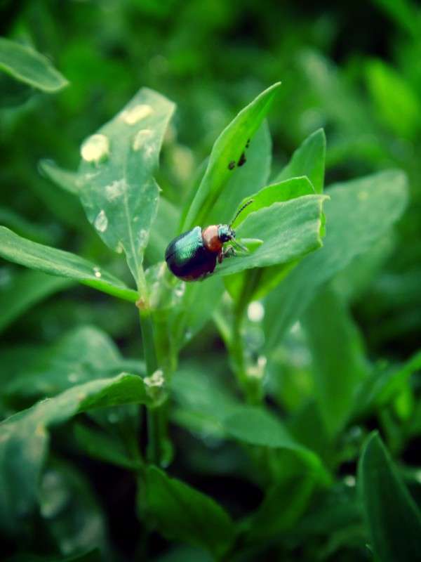 �������^^ ����� ������ �������� �� PhotoGeek.ru #����� #�������� ���