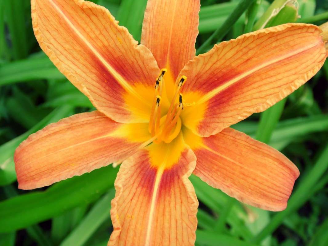 ����� ����� ������ �������� �� PhotoGeek.ru #�����