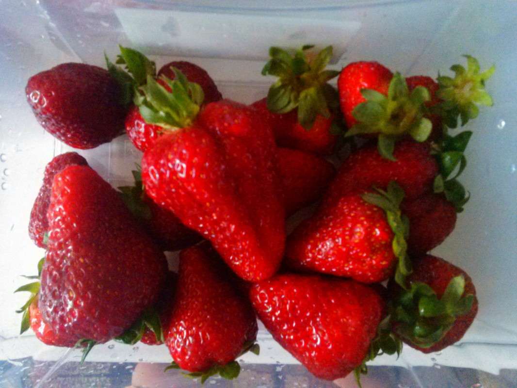 ... ����� ������� ��������� �� PhotoGeek.ru