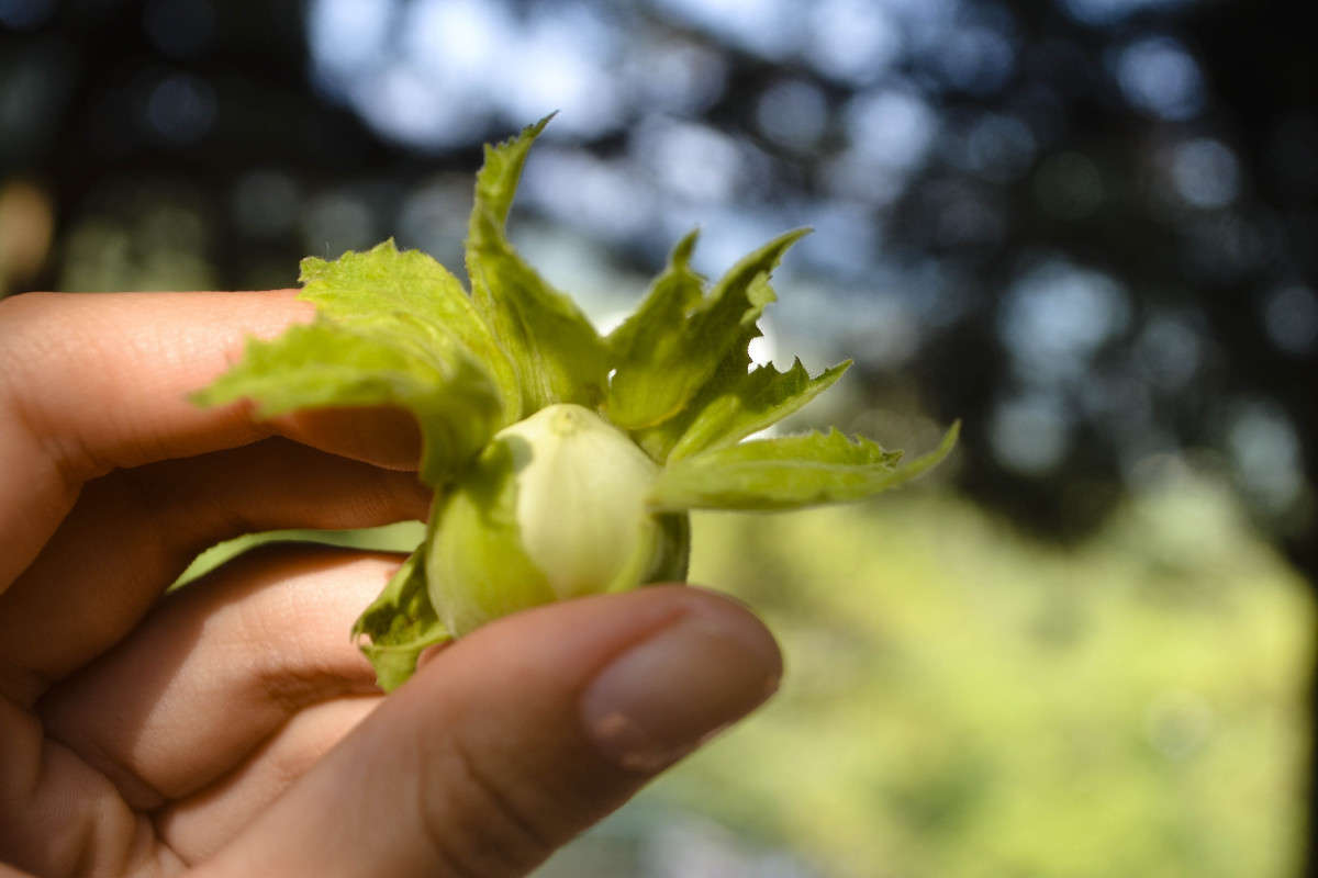 ... ����� ���� ��������� �� PhotoGeek.ru #����� #������ ��� ������� #����� ��������������