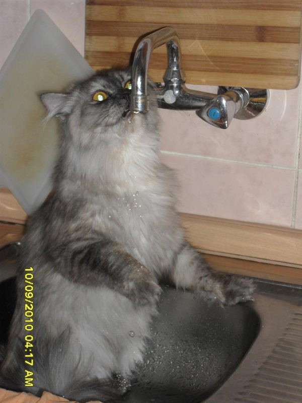 oooh kak jarko... ����� Ali  �� PhotoGeek.ru #�������� ���