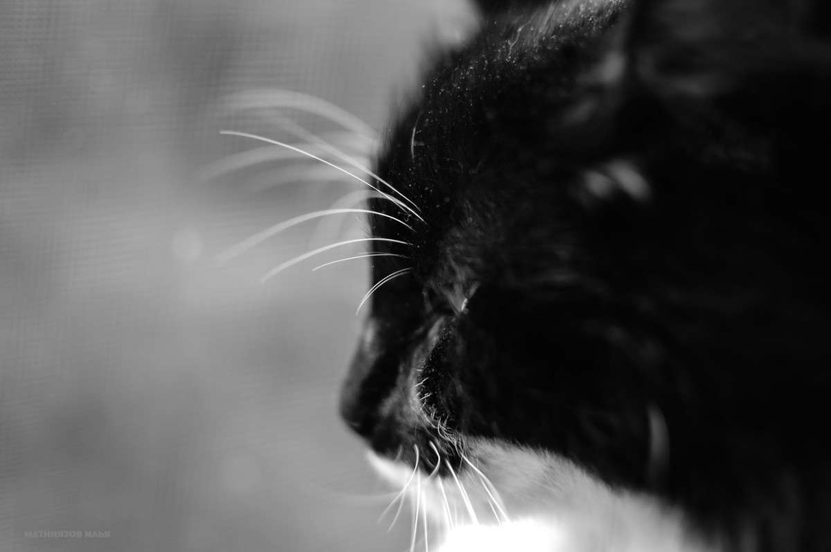 ... ����� ���� ������ �� PhotoGeek.ru #�������� ���