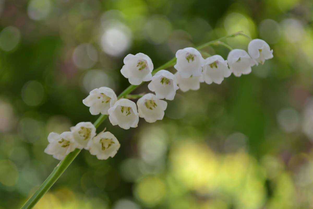 ������ ����� ���� ������������ �� PhotoGeek.ru #������ ��� �������