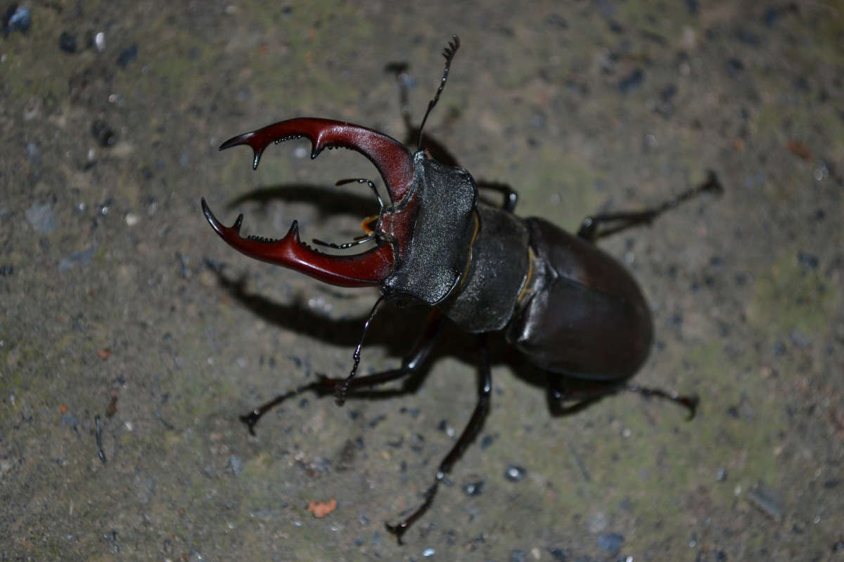 ������� ����� ���� ������������ �� PhotoGeek.ru #�������� ���