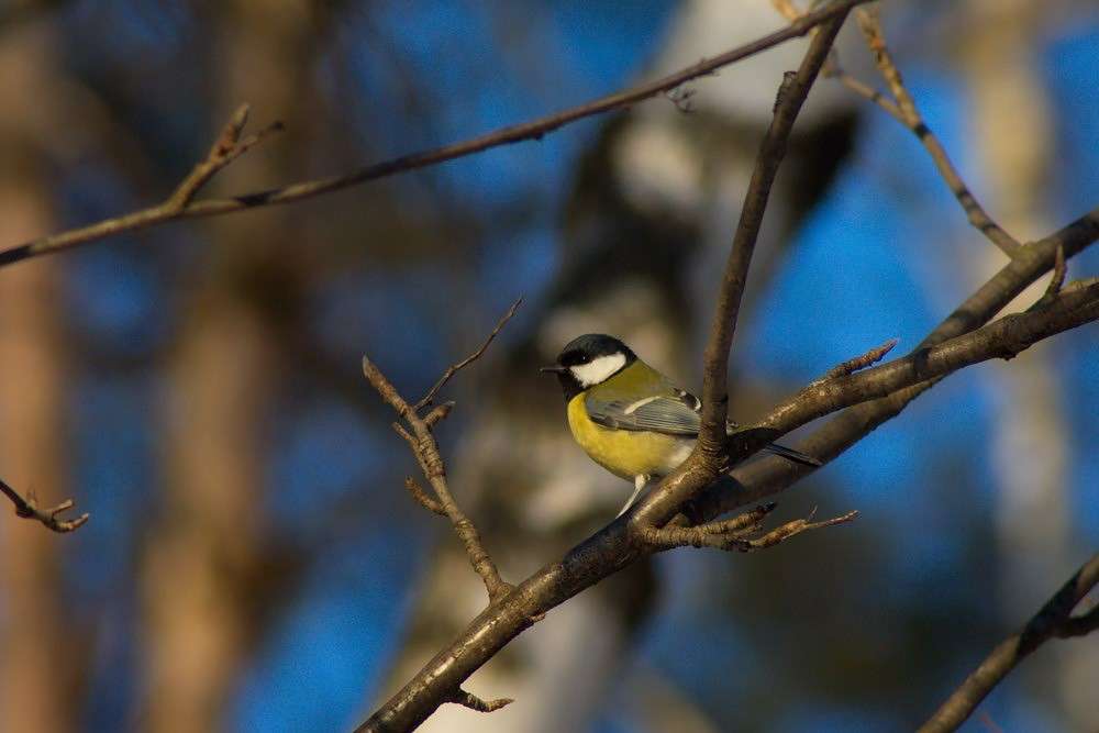 ... ����� ���������  �� PhotoGeek.ru #�������� ��� #������ ��� ������� #����� ��� ��� ��������� #����� ��������