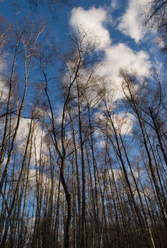 ... ����� ���������  �� PhotoGeek.ru #������ ��� ������� #����� �������������� #����� ��������