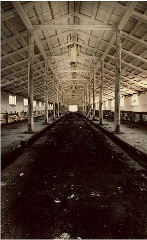 ������� ����� ��������� ������������ �� PhotoGeek.ru #�����������