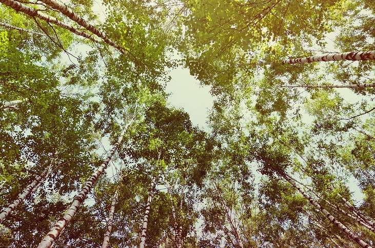 ������ ����� ��������� ������������ �� PhotoGeek.ru #������ ��� ������� #����� ��������������