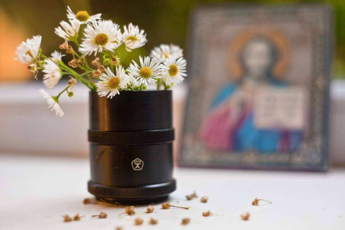 2 ����� alex  �� PhotoGeek.ru #���������