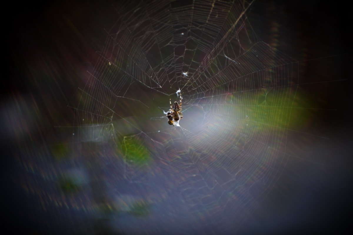 9-8 ����� alex  �� PhotoGeek.ru #�����