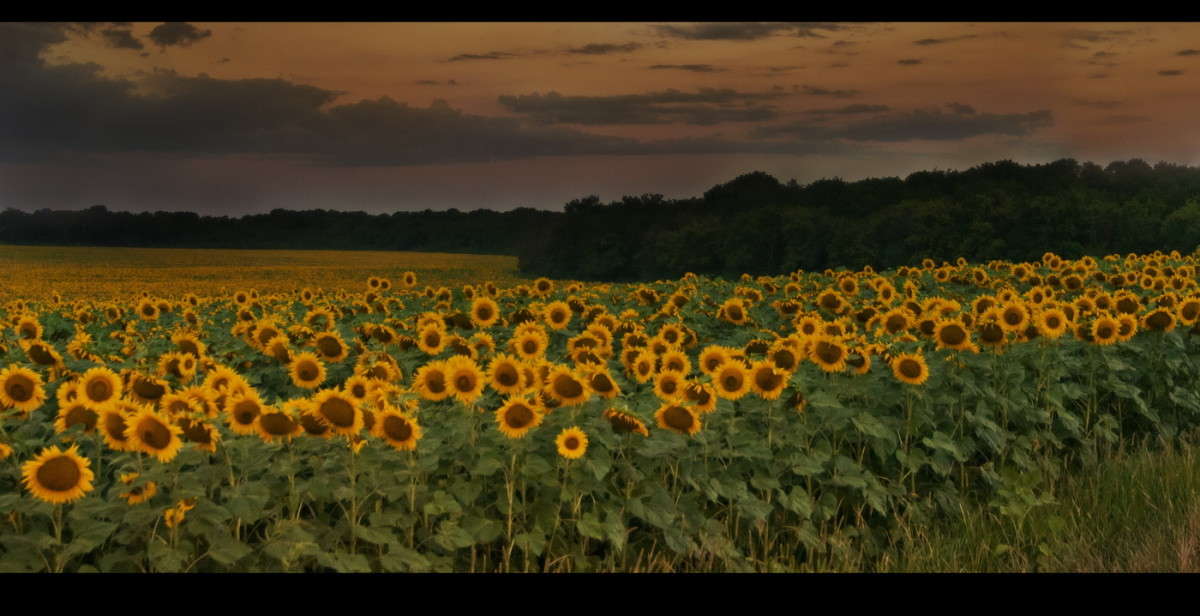 ... ����� alex  �� PhotoGeek.ru #������ ��� �������