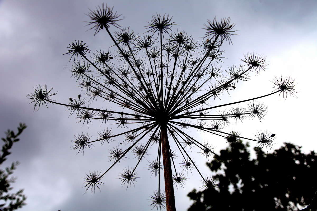 ... ����� alex  �� PhotoGeek.ru #�����