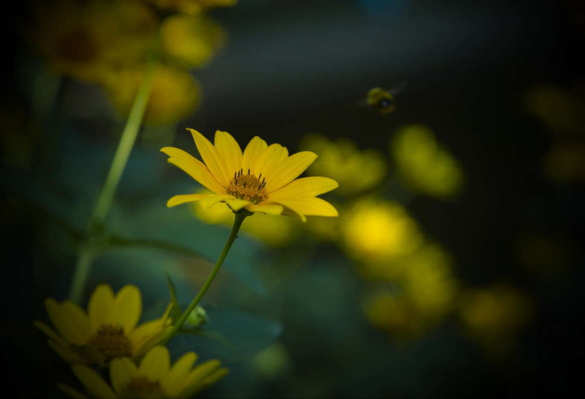 ... ����� alex  �� PhotoGeek.ru #�����