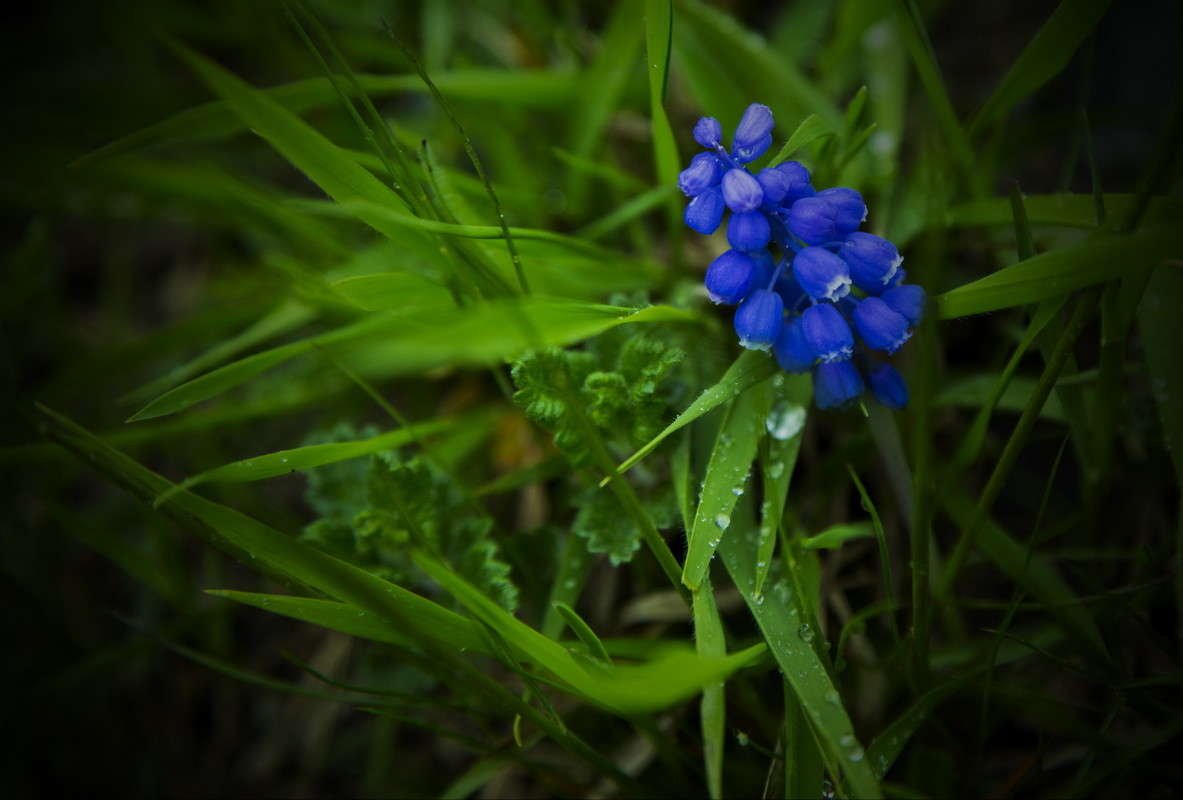 ... ����� alex  �� PhotoGeek.ru #�����