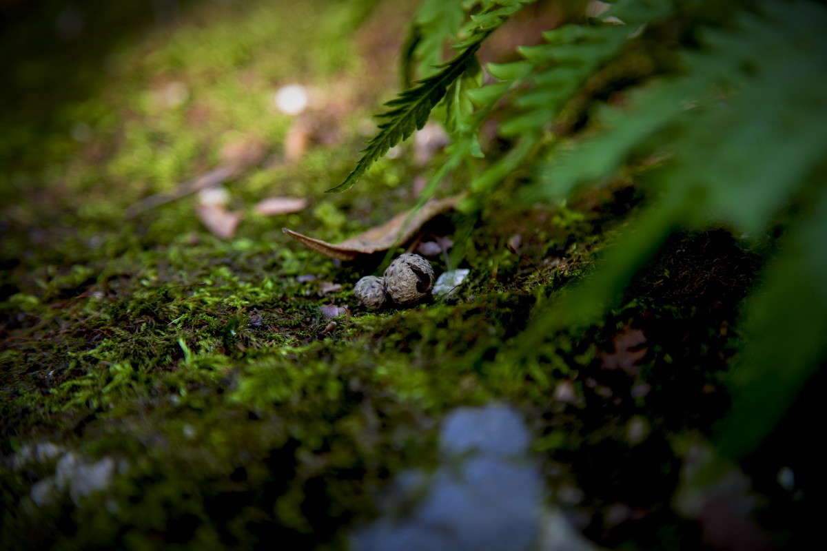 ... ����� alex  �� PhotoGeek.ru #�����