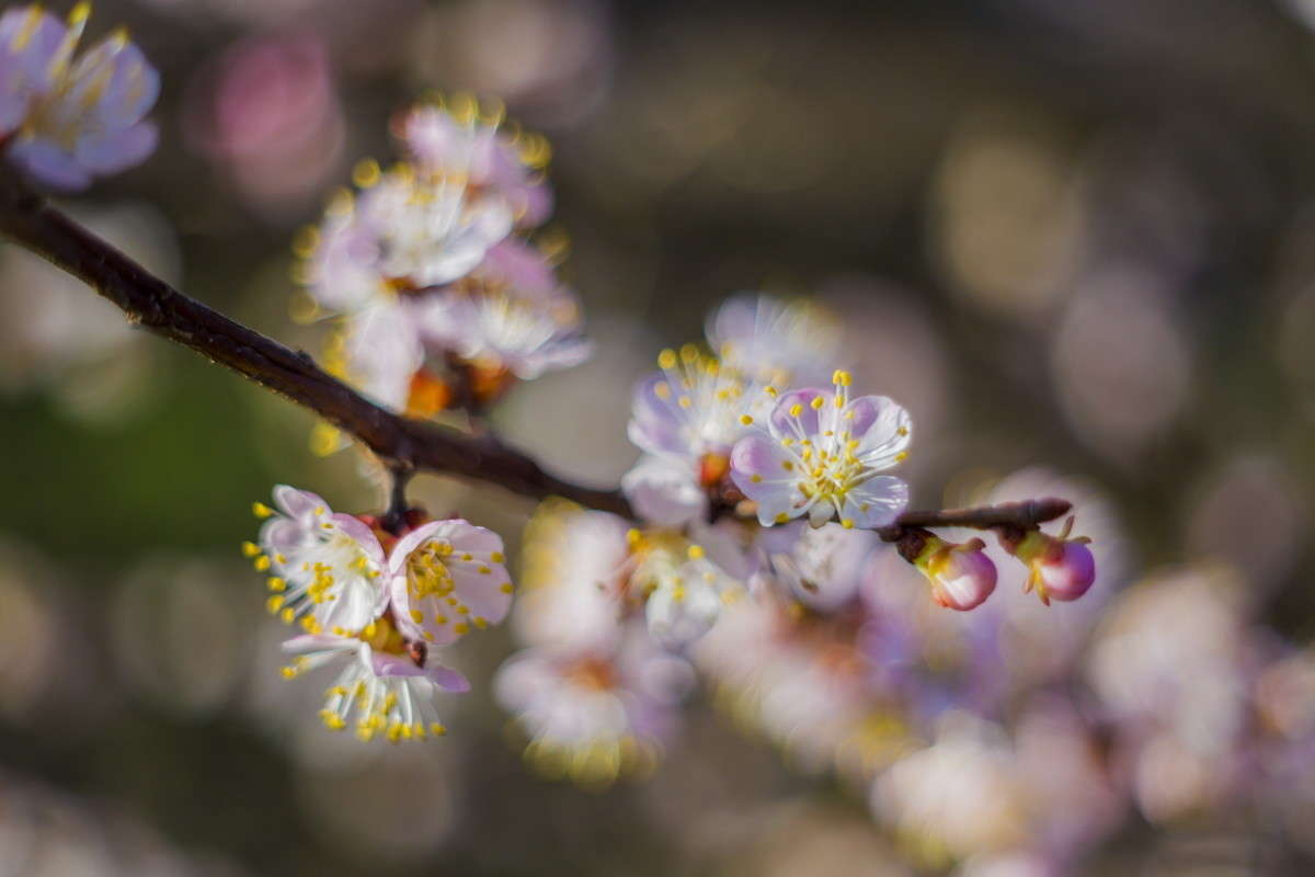 ... ����� alex  �� PhotoGeek.ru #�����