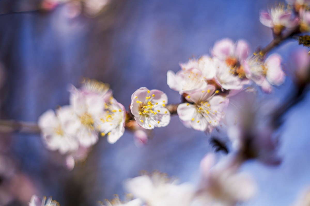 ... ����� alex  �� PhotoGeek.ru #�����