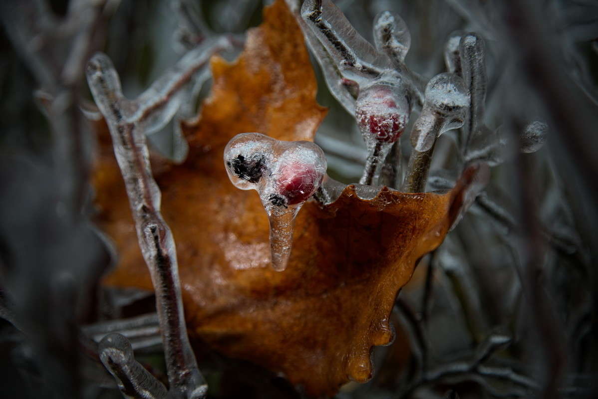 ... ����� alex  �� PhotoGeek.ru #�����