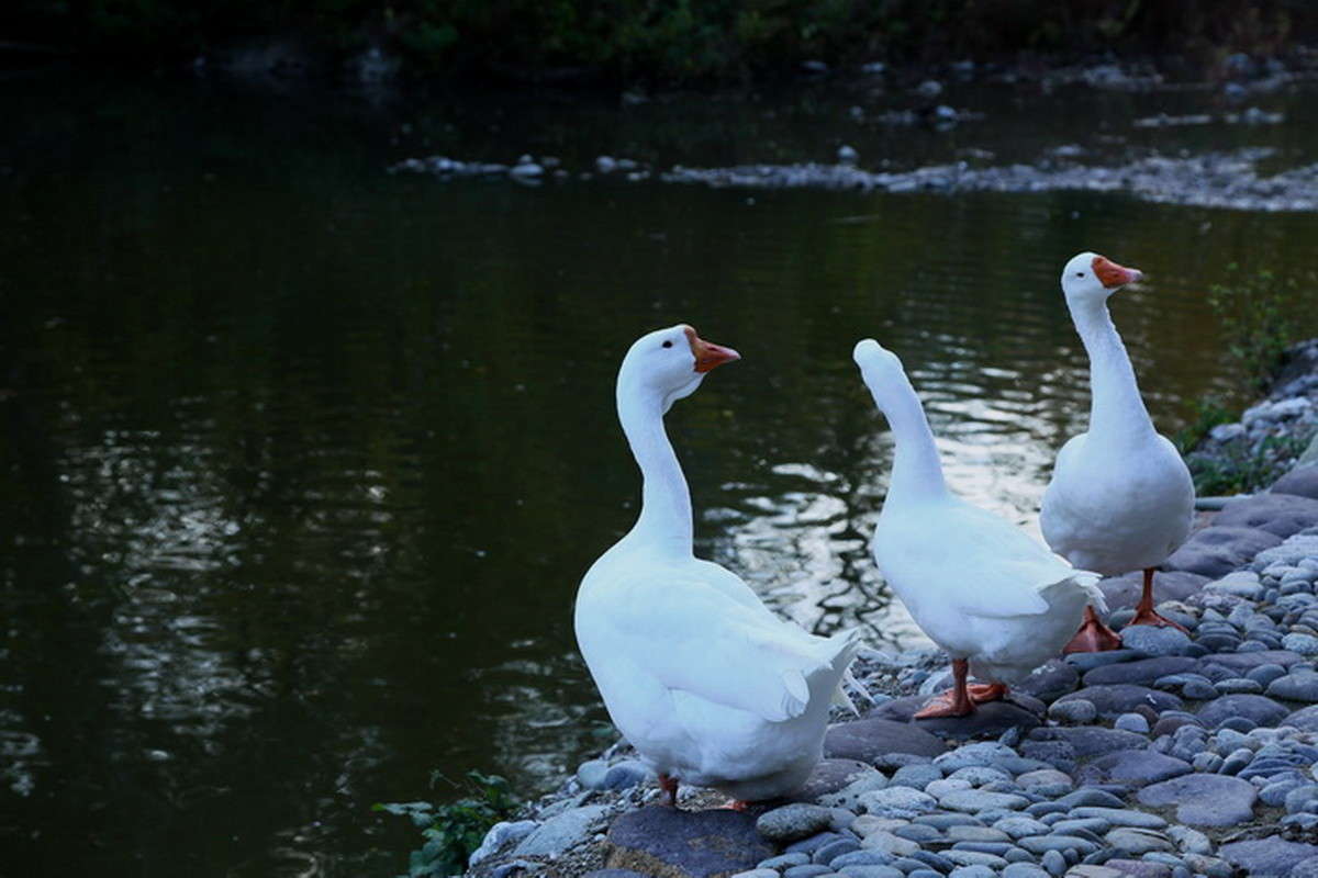 ... ����� alex  �� PhotoGeek.ru #������ ��� �������