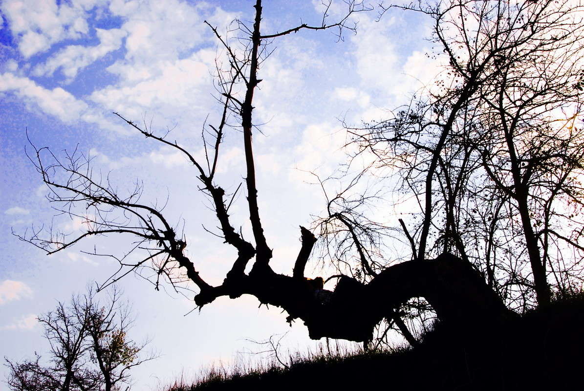 ... ����� alex  �� PhotoGeek.ru #������ ��� �������