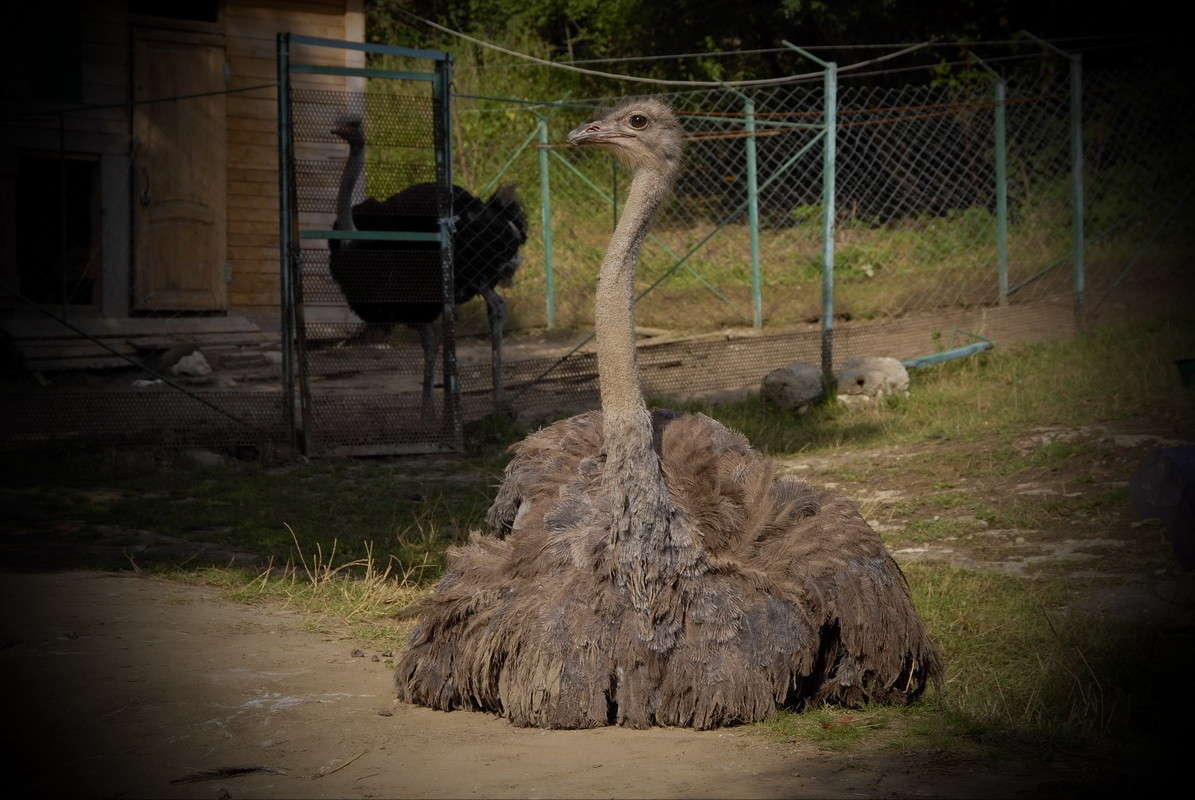 ... ����� alex  �� PhotoGeek.ru #������ ��� �������