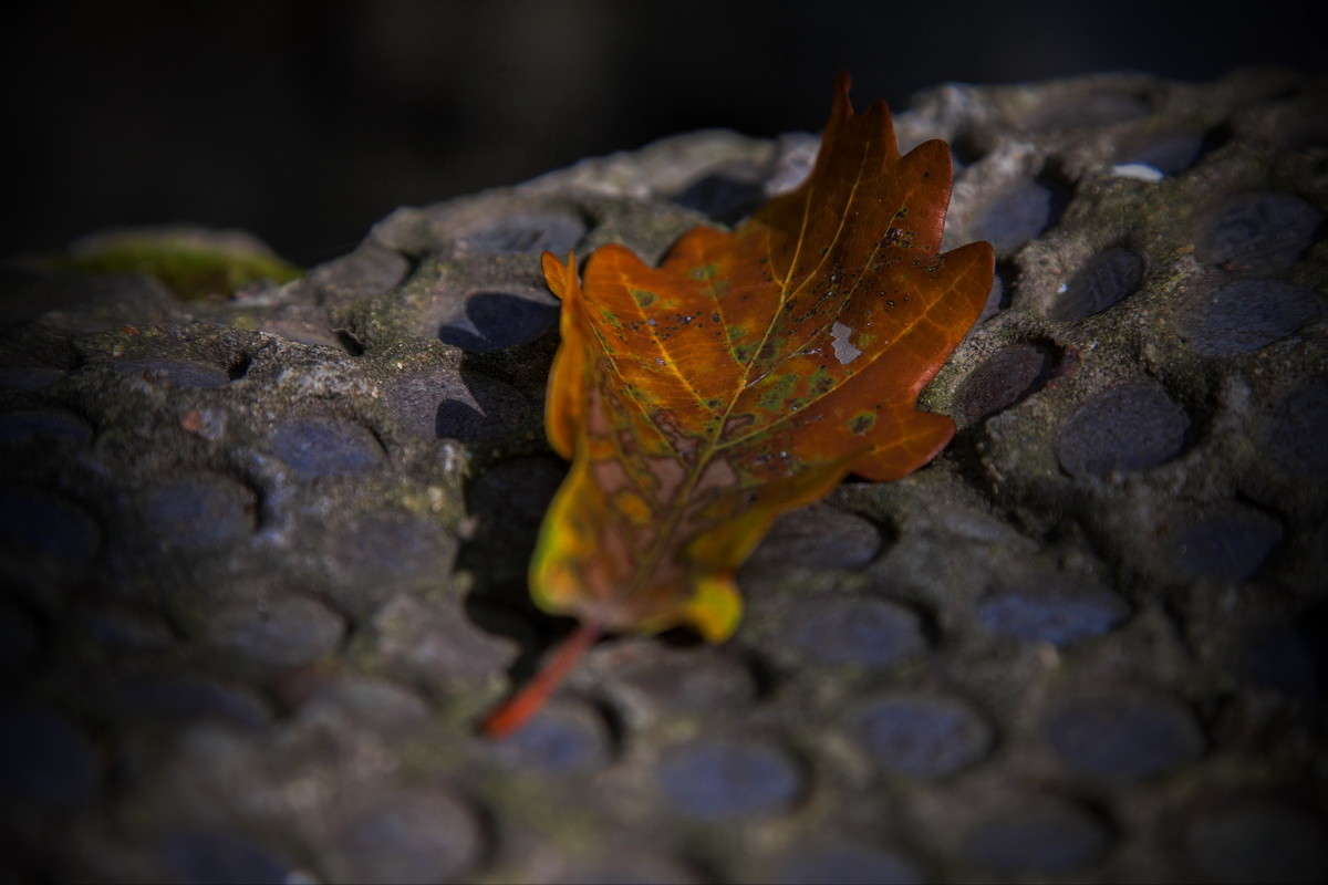 ... ����� alex  �� PhotoGeek.ru #������ ��� �������